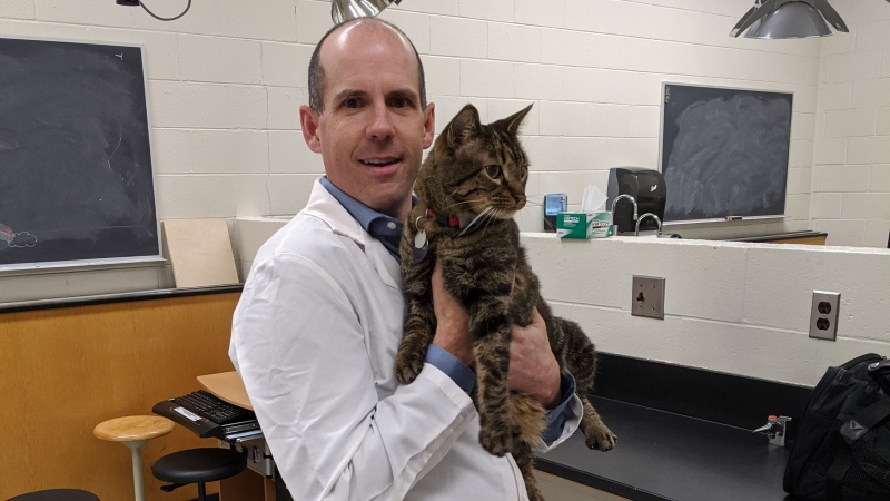 Dr. Al Chicoine is leading a team of researchers hoping to learn more about the effects of cannabis derived products in pets.