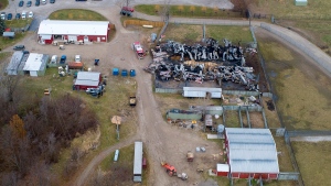 An aerial photo shows what is remaining of the barn that caught fire at African Safari Wildlife Park in Port Clinton, Friday, Nov. 29, 2019, killing at least 10 animals. (Andy Morrison/The Blade via AP)