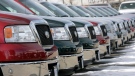Unsold 2007 F-150 pickup trucks sit in a row at a Ford dealership in the southeast Denver suburb of Centennial, Colo., on Sunday, Feb. 25, 2007. (AP Photo/David Zalubowski)