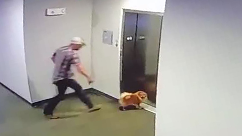 Dog in elevator