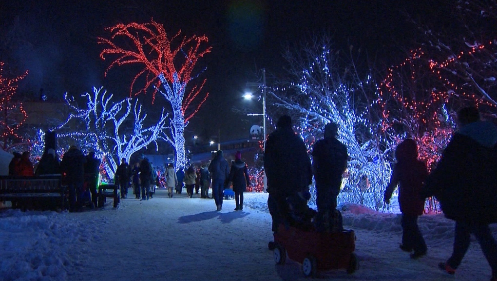 Calgary Zoo, Zoo Lights, Christmas, snow
