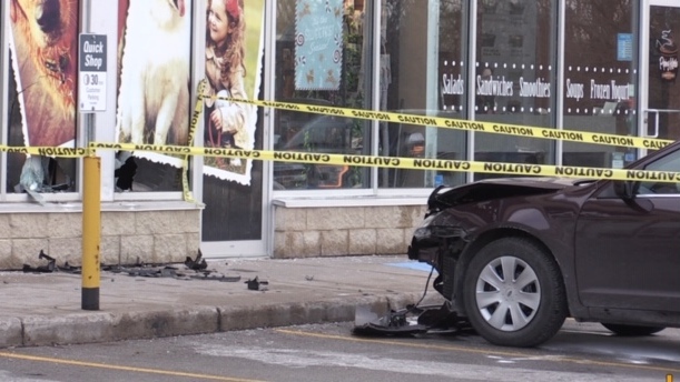 Car hits pet store