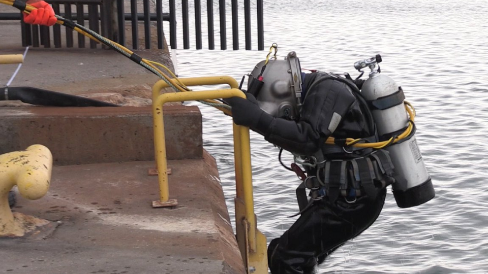 Divers inspect grain elevators