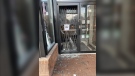 The front door of the Pet Food Platters, a small independent pet food store on Spadina Avenue, was damaged on Dec. 22, 2019. 