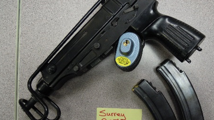 Surrey gun bust
