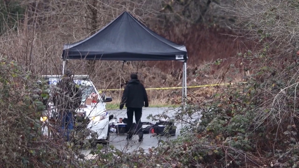 Human remains found on trail near Golden Ears Bridge | CTV News