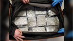 U.S. border patrol are reminding travellers that taking cannabis to the States remains illegal after two Canadians were arrested for attempting to smuggle nearly 18 kilograms of marijuana to Miami. (U.S. Customs and Border Protection)