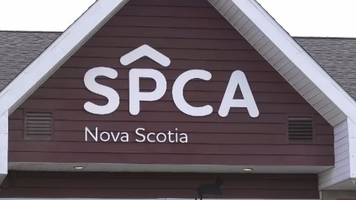 File image of a Nova Scotia SPCA building.