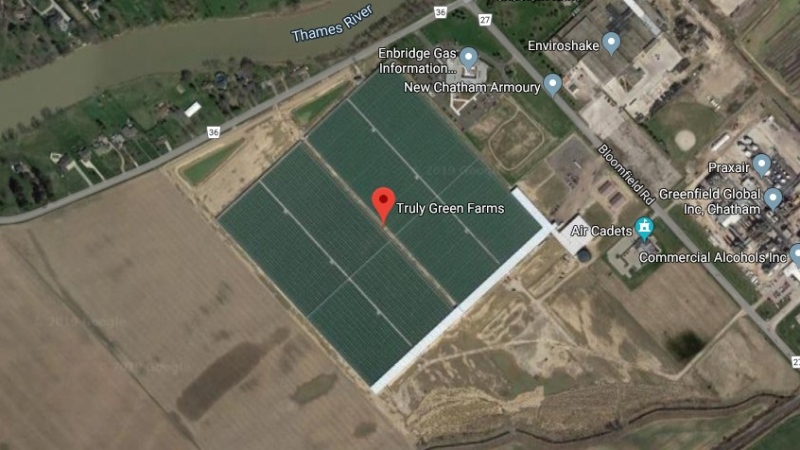 Truly Green Farms in Chatham-Kent. (Courtesy Google Maps)