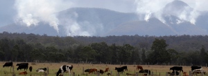 australia wildfire