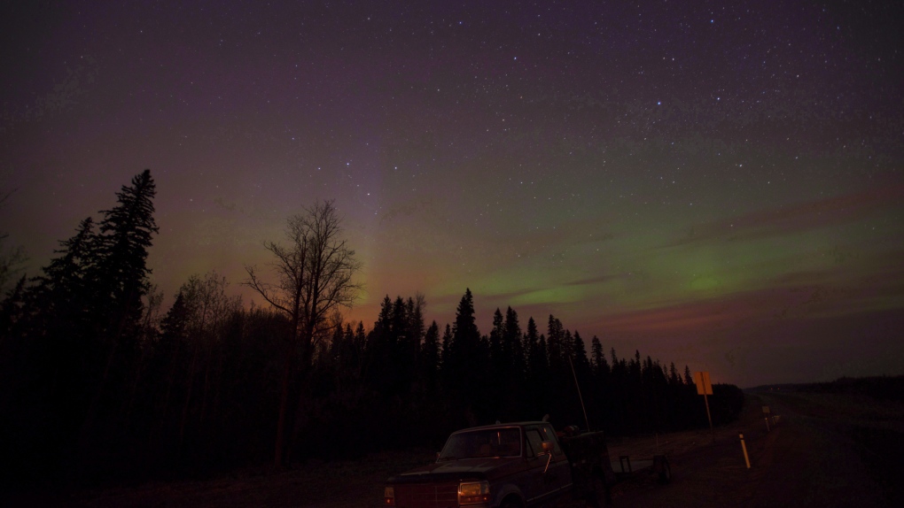 Boreal forest