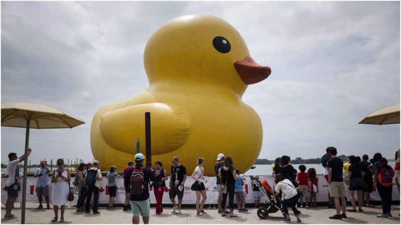 People celebrate Canada Day near the giant inflatable duck that sits on Toronto's Harbourfront on Saturday, July 1, 2017. A Toronto waterfront festival that hosted an unexpectedly controversial giant rubber duck says it generated millions of dollars in economic activity. THE CANADIAN PRESS/Christopher Katsarov