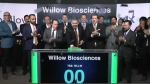 Officials with Willow Biosciences rang the bell at the TSX on Wednesday morning.