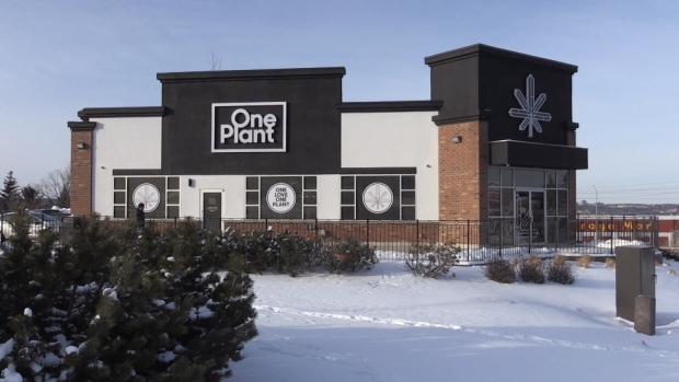 One Plant - Barrie's first cannabis retail store - opened its doors on Fri., Jan. 17, 2020. (Chris Garry/CTV News)