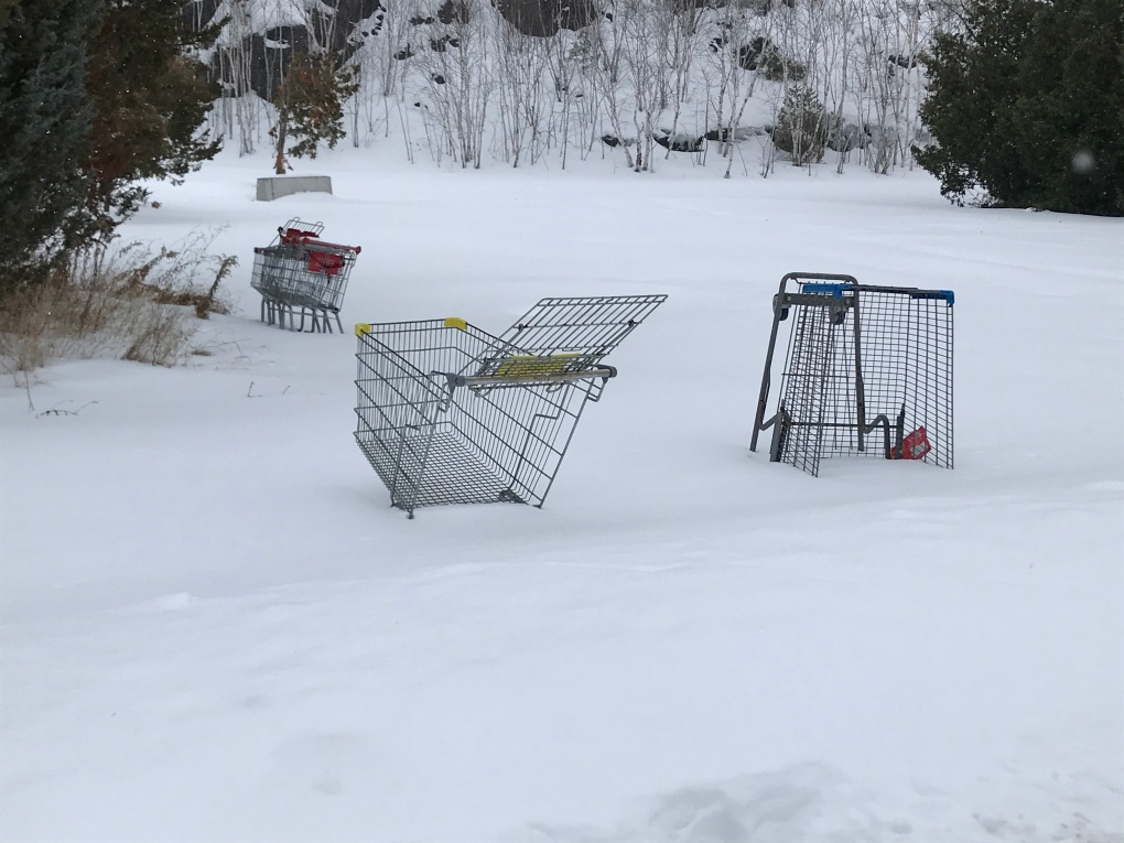 Abandoned Shopping Carts (Jan. 23, Dana Roberts)