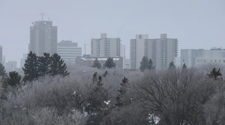 Saskatoon weather January 28
