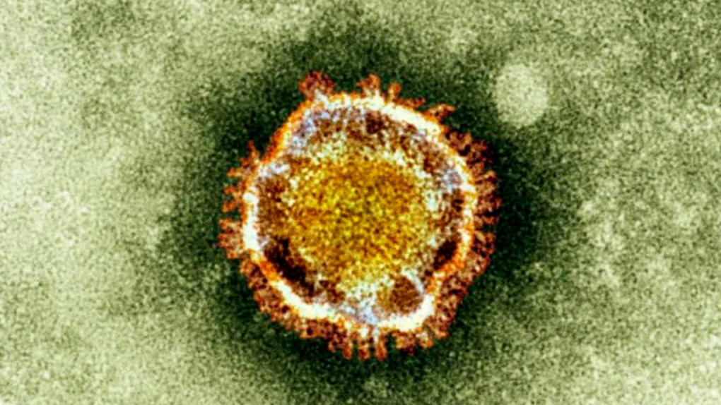 Presumptive positive case of coronavirus in B.C.