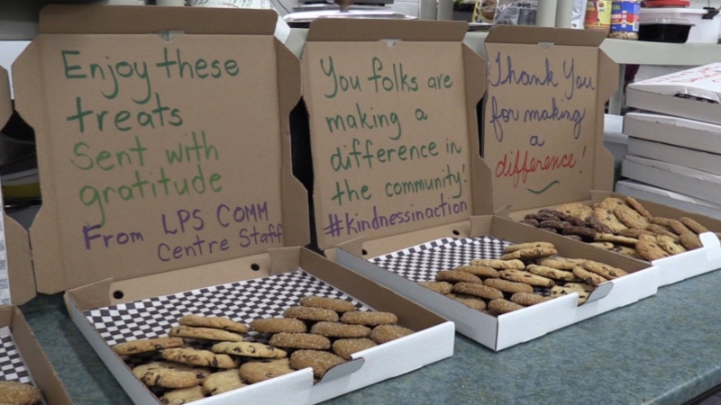 Kindness Cookies to be distributed to agencies around the City. (Celine Zadorsky / CTV London) 