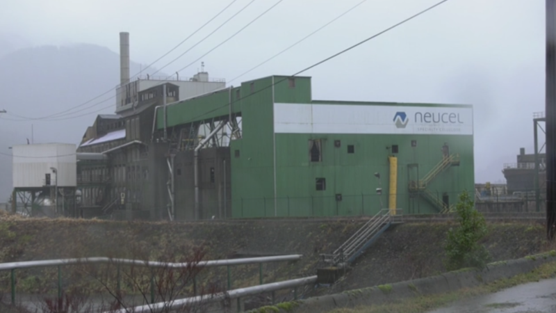 The Neucel pulp mill in Port Alice ceased full operation five years ago, but residents of the small community on the north end of Vancouver Island say the facility is still plaguing them. (CTV)