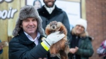 Fred la Marmotte joined two other groundhogs in predicting an early spring. His relation in Nova Scotia disagrees. SOURCE William De Merchant