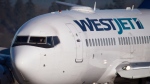 A pilot taxis a Westjet Boeing 737-700 plane to a gate after arriving at Vancouver International Airport in Richmond, B.C., on February 3, 2014. THE CANADIAN PRESS/Darryl Dyck