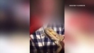 A video posted on social media appears to show people forcing a bearded dragon lizard to drink alcohol before putting it on the floor and dousing it with beer.