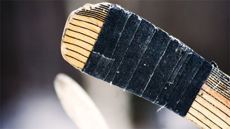 Hockey stick (Flickr / Pixel Lion)