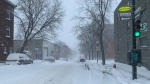 Montreal snowstorm shot Feb. 7, 2020. (Daniel J. Rowe/CTV News)