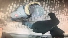 Surveillance footage taken of two men seen breaking in to Naples Pizza on rue Montcalm in Gatineau, Feb. 23, 2020. (Photo courtesy of Charbel Karakouzian)