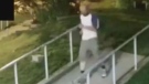 In this image taken from video, a suspect sought in connection with a sexual assault in London, Ont. on Sept. 5, 2019 is seen. (Source: London Police Service)