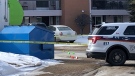 Saskatoon police respond to a pedestrian-vehicle collision in the 200 block of Cree Place. (Francois Biber/CTV Saskatoon)