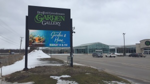 Bradford Greenhouses Garden Gallery as seen on Mar. 6, 2020. (Steve Mansbridge/CTV News)