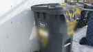 Members of a synagogue in Winnipeg are upset after discovering anti-Semitic symbols spray-painted on their garbage bin.