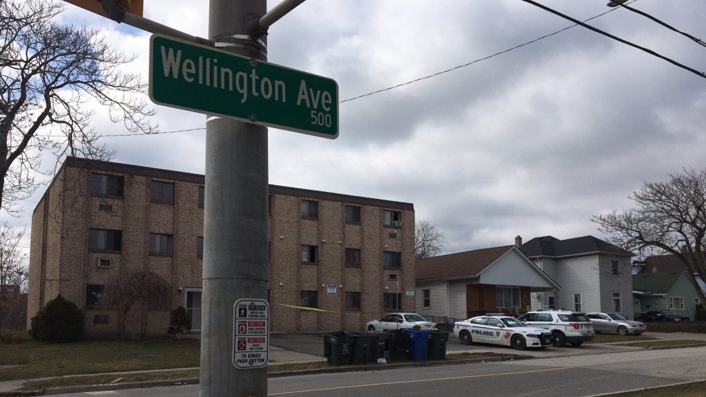 Wellington Avenue Apartment Assault Investigation