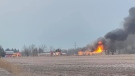 Fire crews work at the scene of a barn fire in London, Ont. on Wednesday, March 11, 2020. (Source: Holly Harrington)