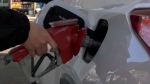 Gas prices have continued to drop in Metro Vancouver. 