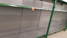 Empty shelves greet customers at an Ottawa store (Claudia Cautillo/CTV News Ottawa