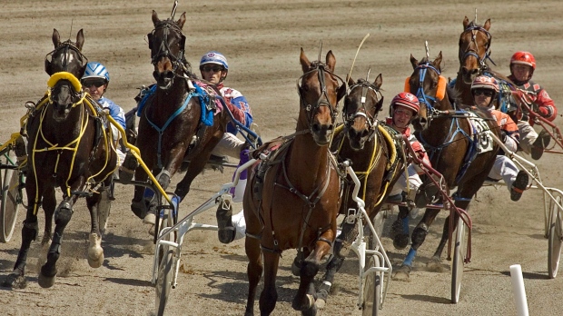 Canadian harness drivers thankful to be racing during pandemic | CTV News
