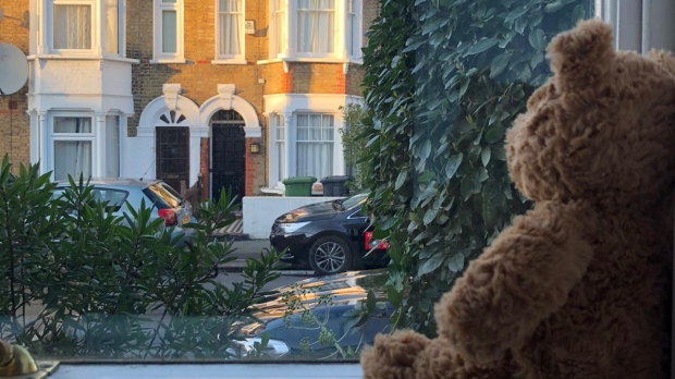 Teddy bear placed in window