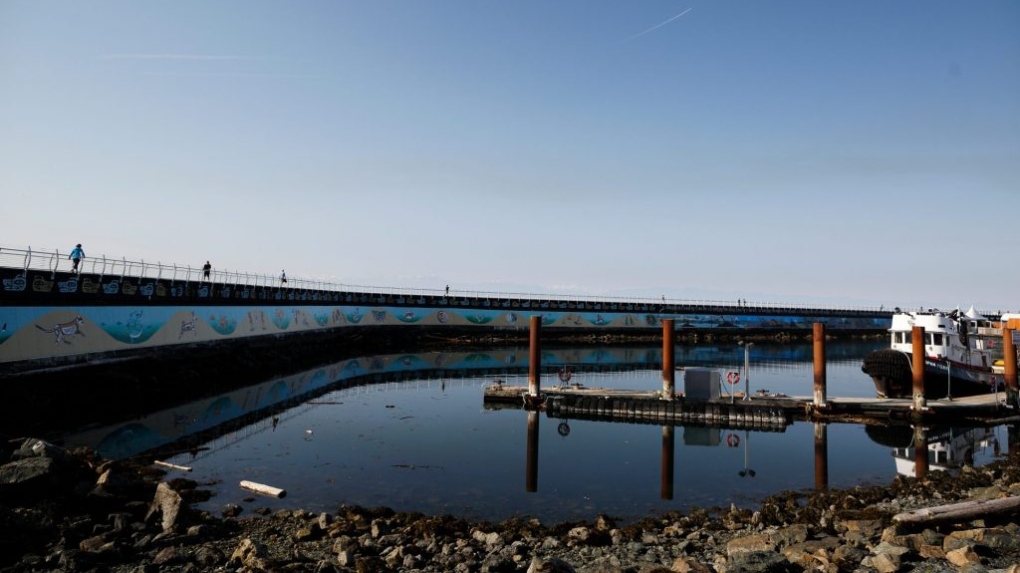 Ogden Point Breakwater