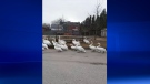 Screenshot of the annual swan parade in Stratford Ont. on March 24, 2020. (John Brooks/Facebook)