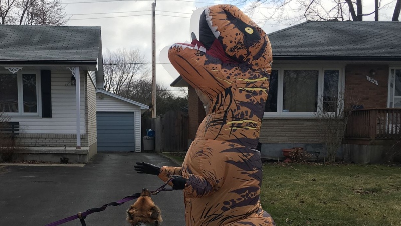 Denise Testa walks her dogs Chloe and Oden on Sorrel Road in London, Ont. on Tuesday, March 24, 2020. (Celine Zadorsky / CTV London)