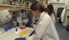 Researchers work on COVID-19 projects in their lab at Western University in London, Ont. on Thursday, March 26, 2020. (Celine Zadorsky / CTV London)