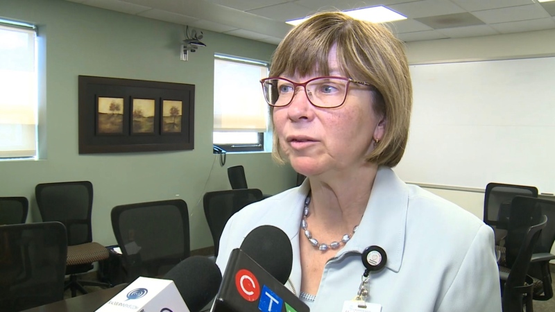 CKHA president and CEO Lori Marshall in Chatham-Kent, Ont. (Chris Campbell / CTV Windsor)