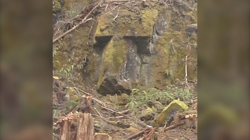 A Port Alberni man believes that a logging operation in B.C. may have uncovered a giant carved stone face, similar to those found on Easter Island: (Fred Thompson)