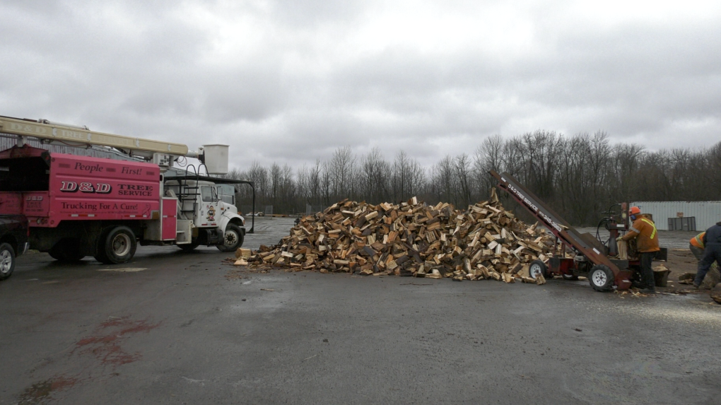 Free wood in Brockville
