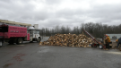 D&D Tree Service in Brockville is offering free wood to stay warm (Nathan Vandermeer/CTV News Ottawa)