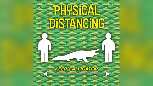 A Florida county reminds people to maintain a distance of at least one alligator