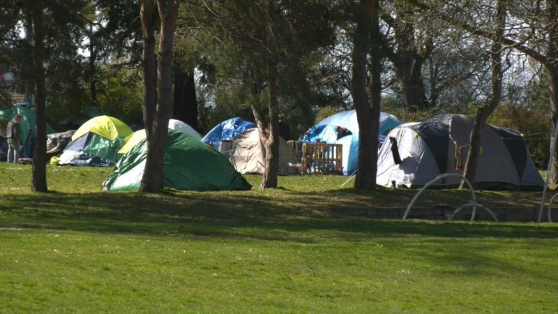 Tents are pictured at Topaz Park before the encampment was dismantled: (CTV News)