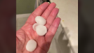 Hail the size of chocolate Easter eggs was found across London on April 7, 2020. (Courtesy Sarah Schmor) 